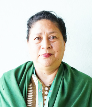 Ms. Seema Thapa Giri, Head, Library Section
